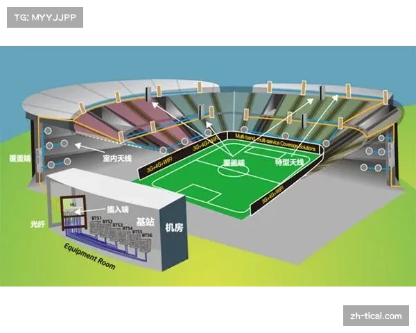 体育公益基金注入创新项目，弥补市场盲区